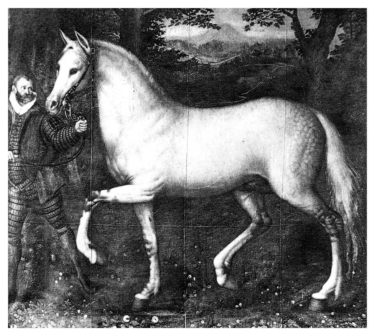 Das Pferd von Königin Elizabeth I. von Unbekannt