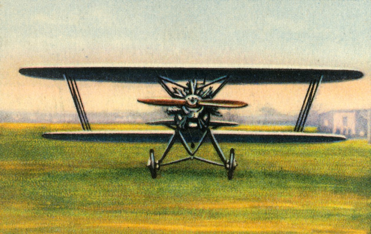 Raab-Katzenstein RK-26 Tigerschwalbe Flugzeug, 1920er Jahre von Unbekannt