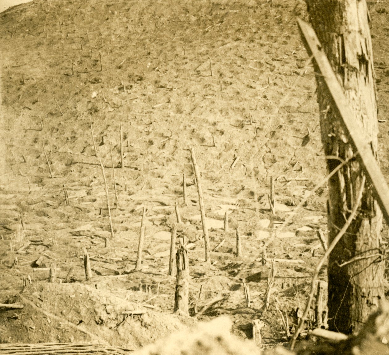 Schlucht bei Les Éparges, Nordfrankreich, um 1914-1918 von Unbekannt