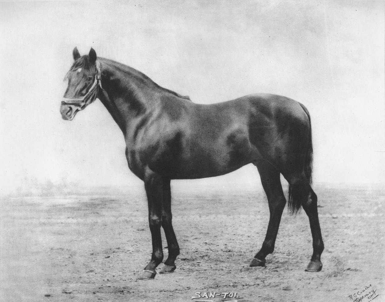 San-Toi, 1911 von Unbekannt
