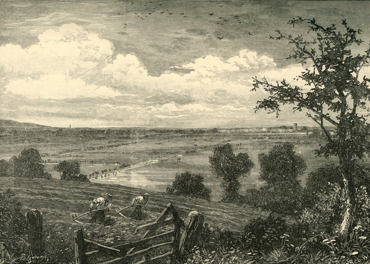 Sedgemoor, von Middlezoy, 1898 von Unbekannt