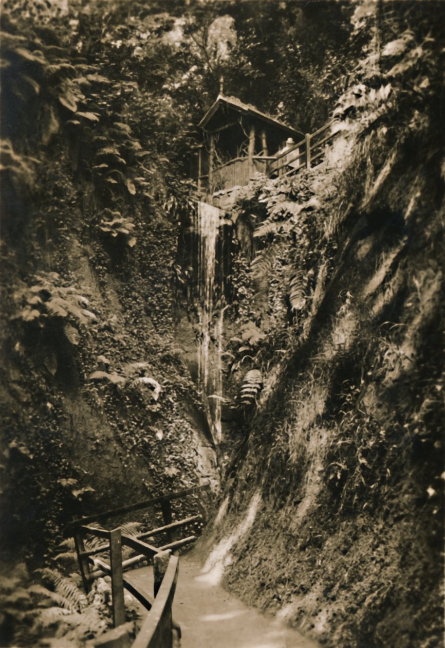 Shanklin Chine, I.W., um 1920 von Unbekannt