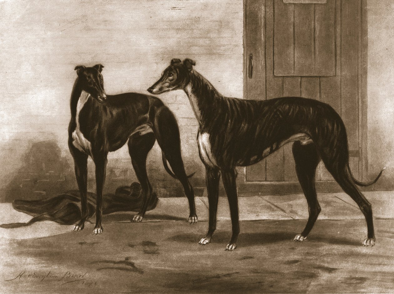 Simonian und Fullerton, ca. 1891, 1911 von Unbekannt