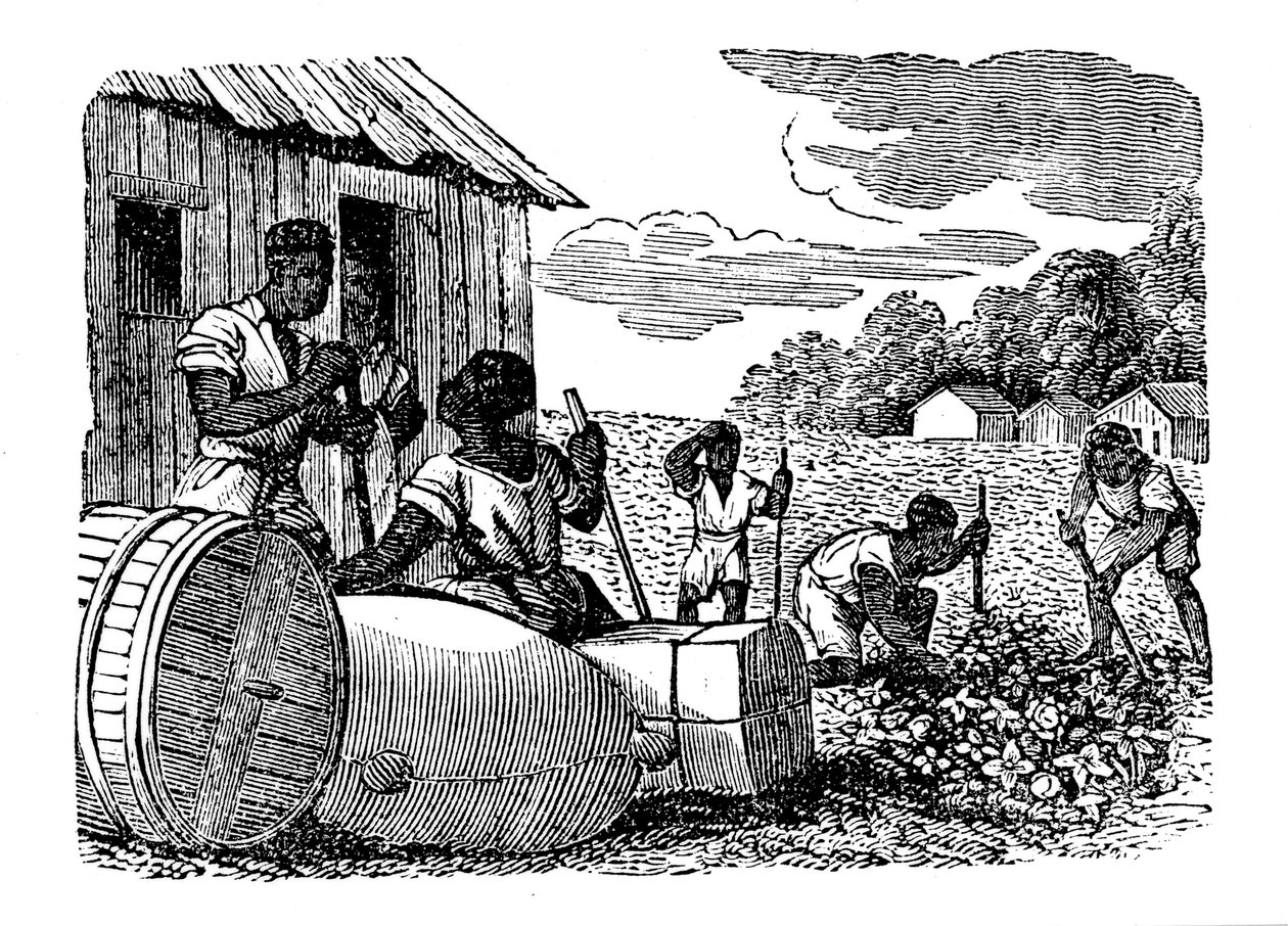 Sklavenarbeit auf einer Tabakplantage, 1833 von Unbekannt