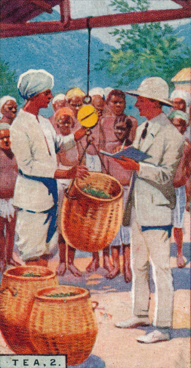 Tee, 2. - Wiegen der Ernte, Ceylon von Unbekannt