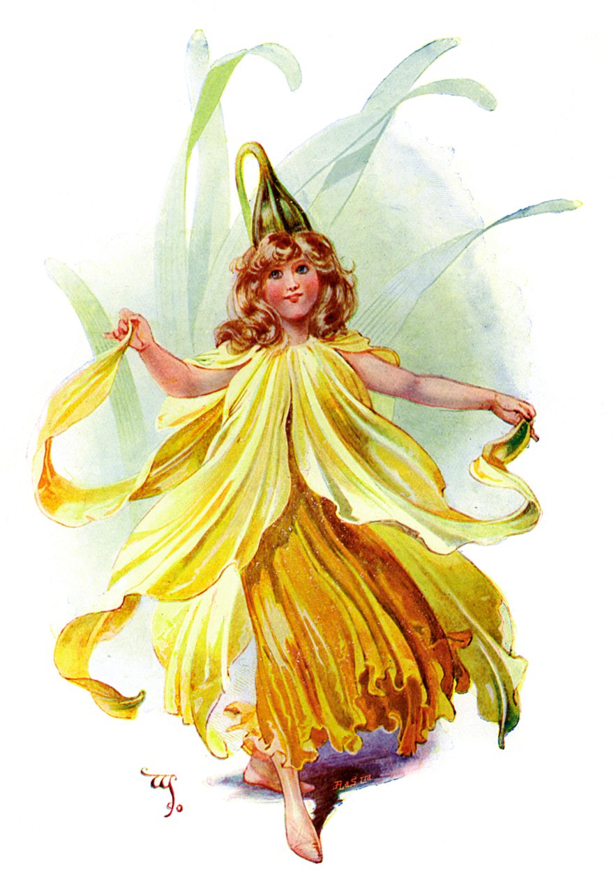 Die Narzisse, 1899 von Unbekannt