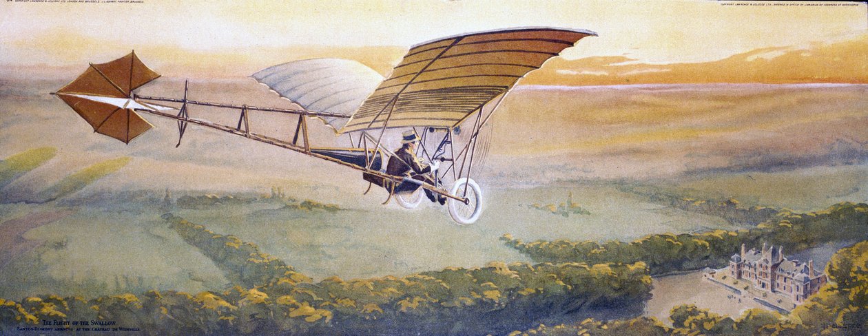 Der Flug der Schwalbe von Unbekannt