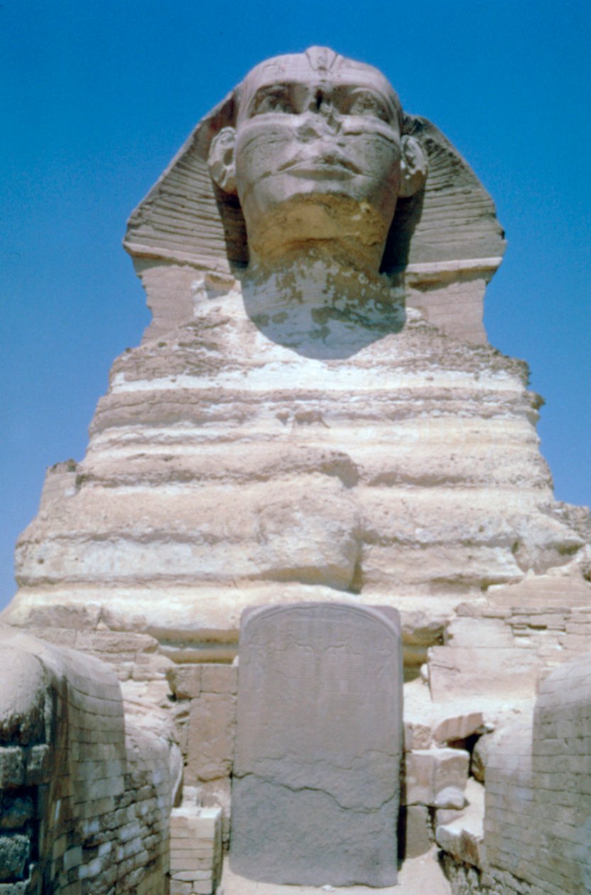 Die Große Sphinx von Gizeh, Gizeh-Plateau, Ägypten von Unbekannt