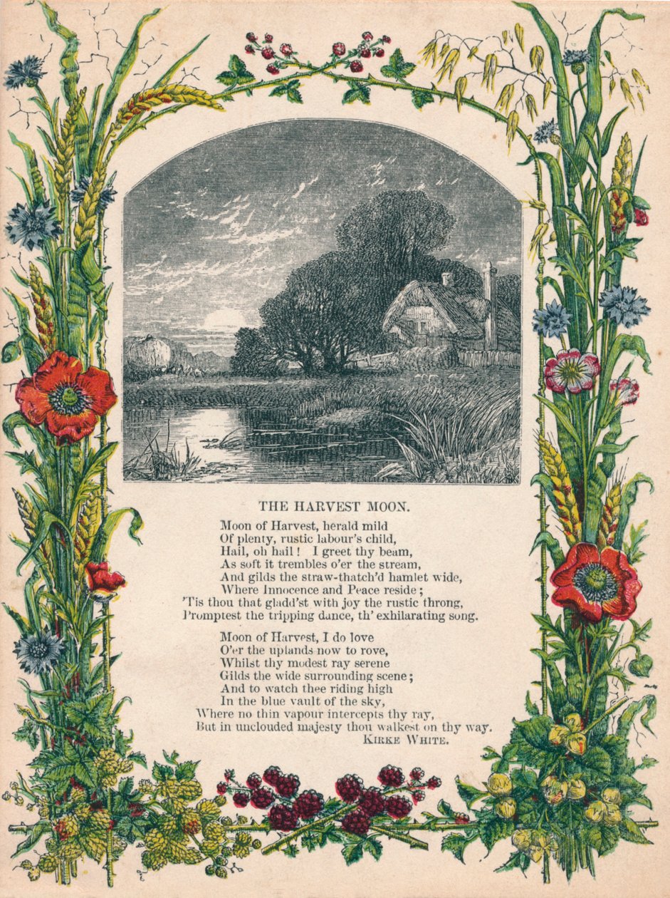 Der Erntemond von Kirke White, c1900 von Unbekannt
