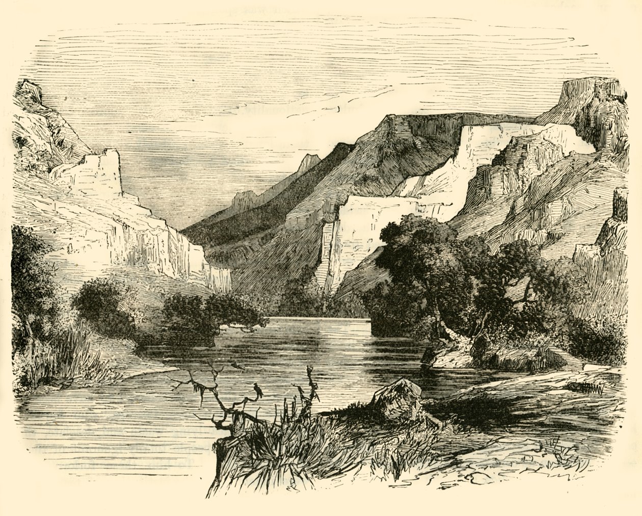 Das Tal von Tempe, 1890 von Unbekannt