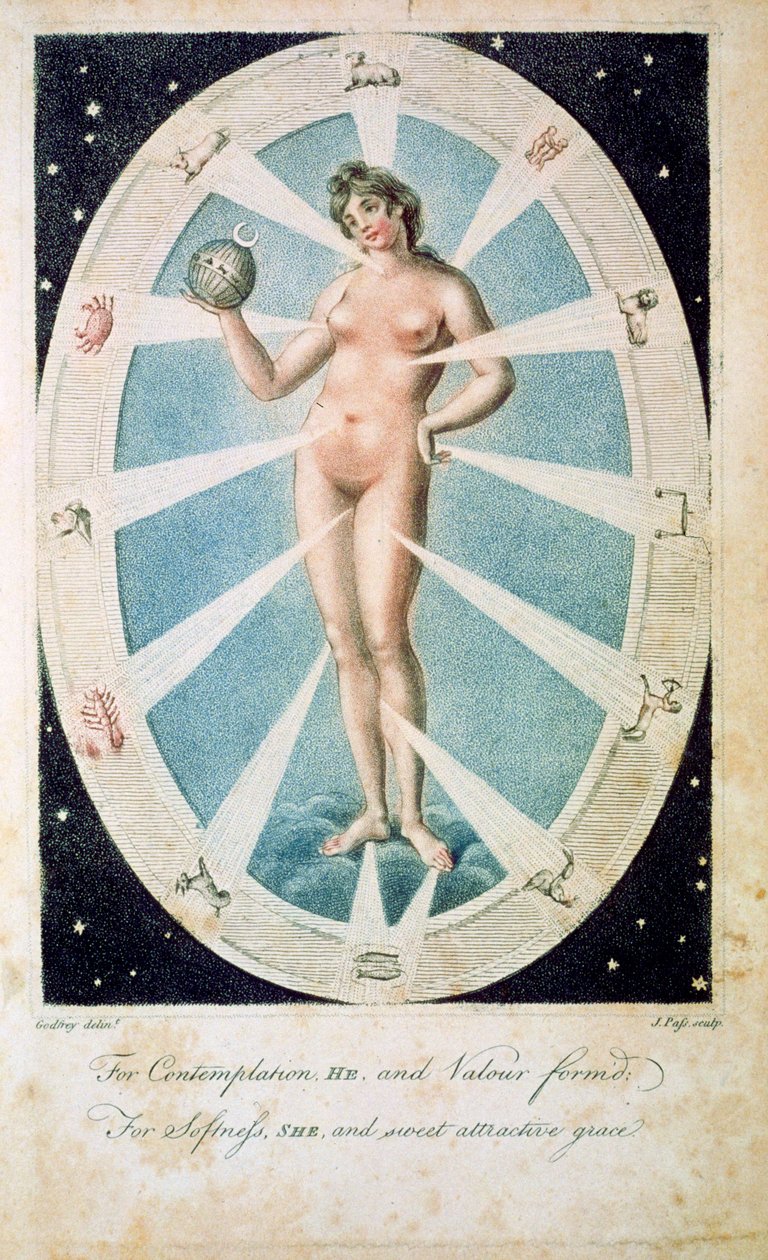 Die weibliche Form mit astrologischen Symbolen, 1790 von Unbekannt