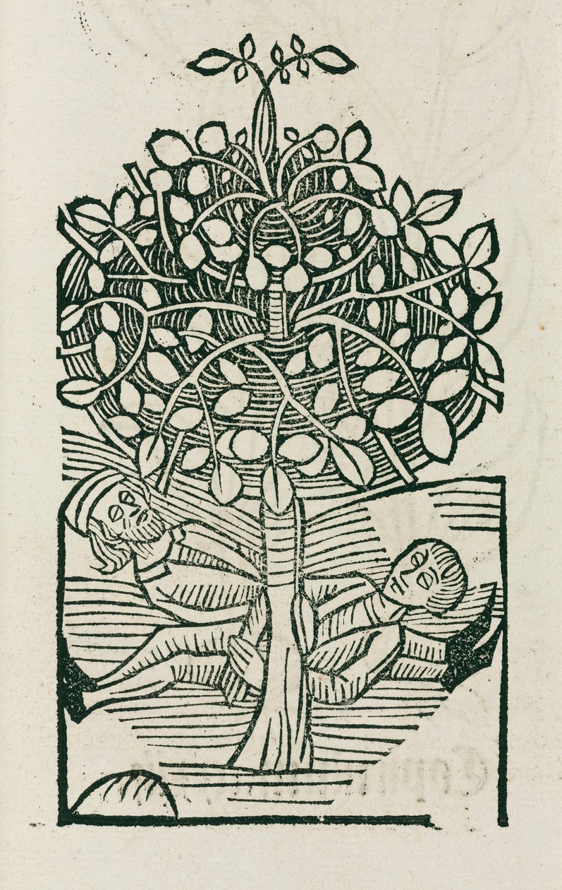 Der narkotische 
