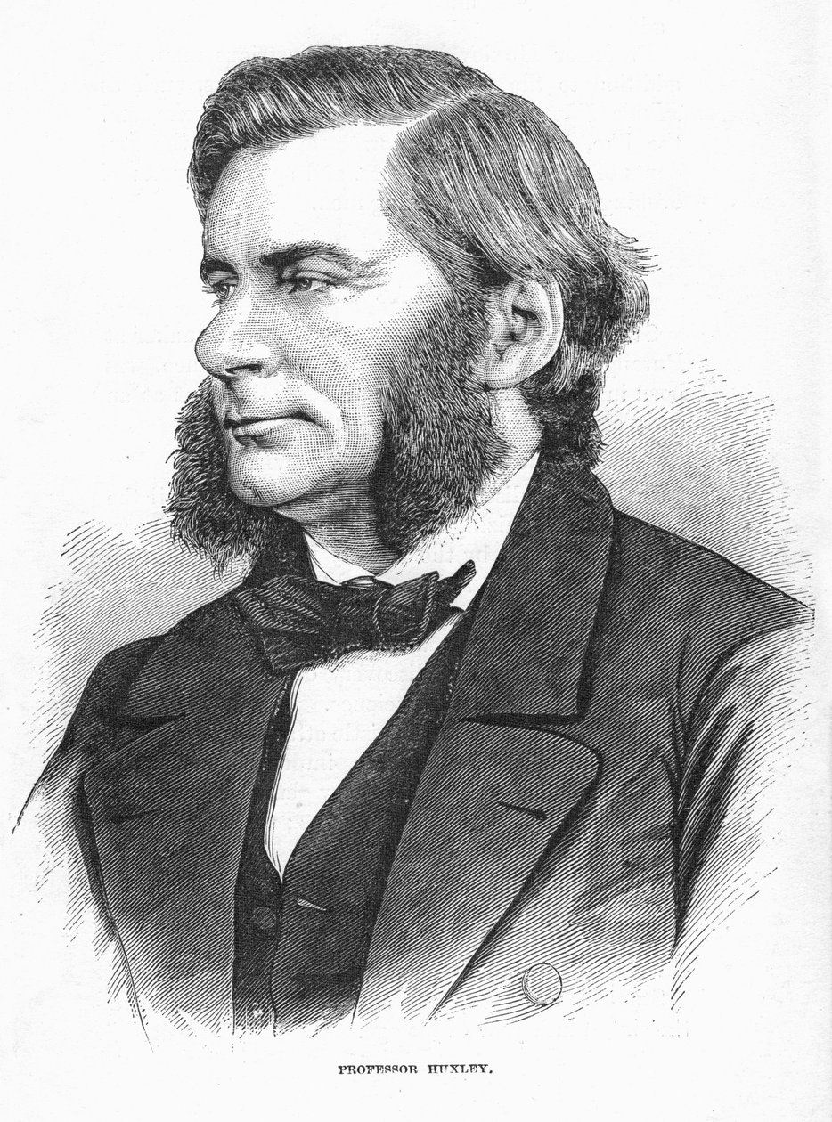 Thomas Henry Huxley, britischer Biologe, um 1860er Jahre von Unbekannt