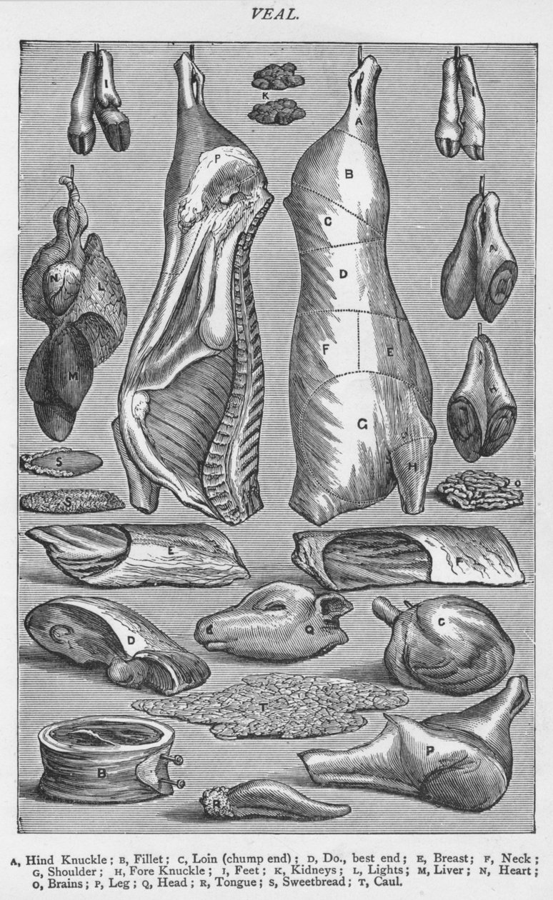 Kalbfleisch von Unbekannt