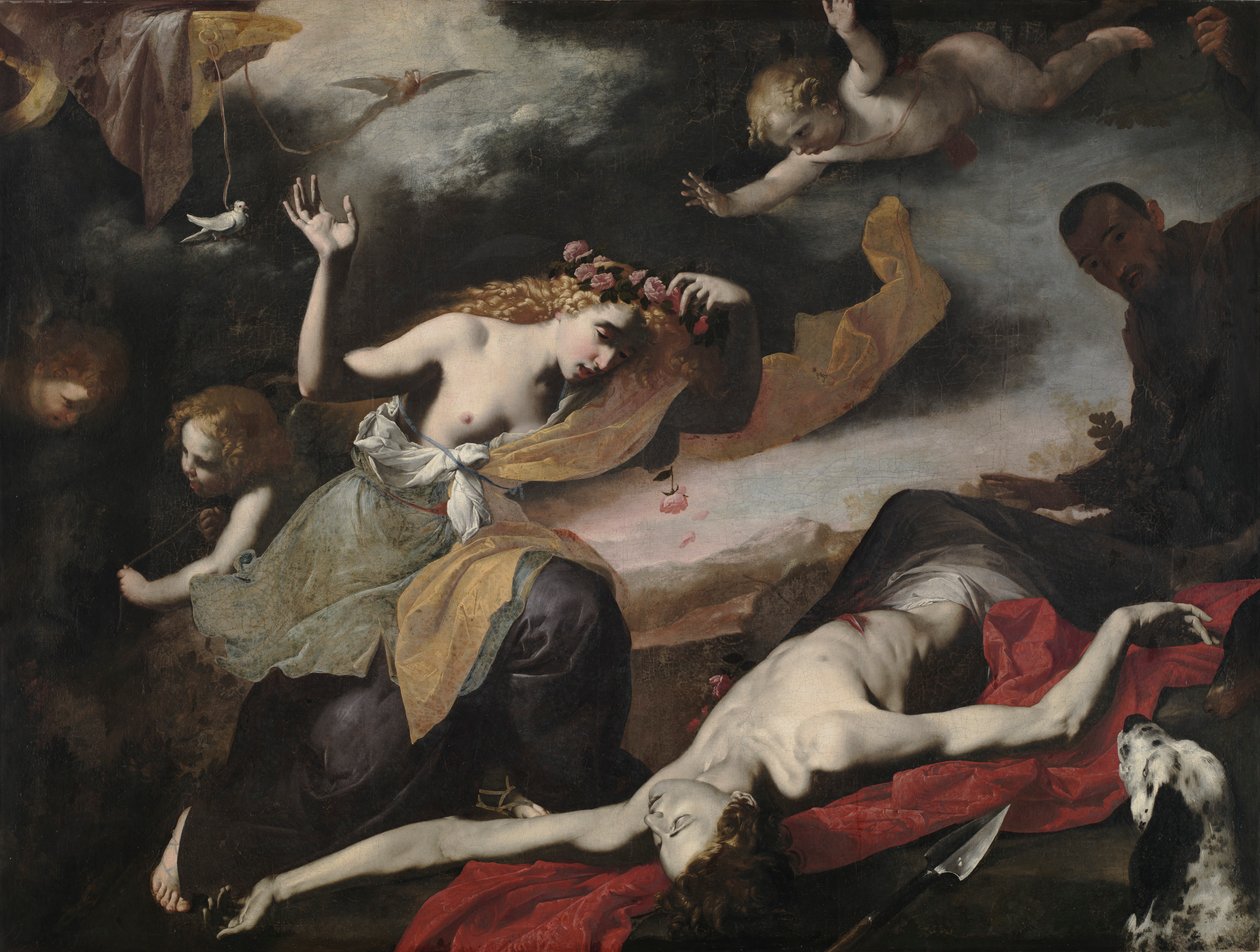 Venus entdeckt den toten Adonis von Unbekannt Unbekannt