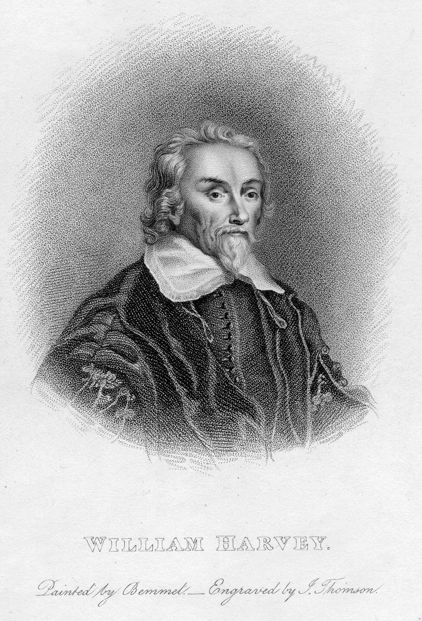 William Harvey, englischer Arzt, 17. Jahrhundert von Unbekannt