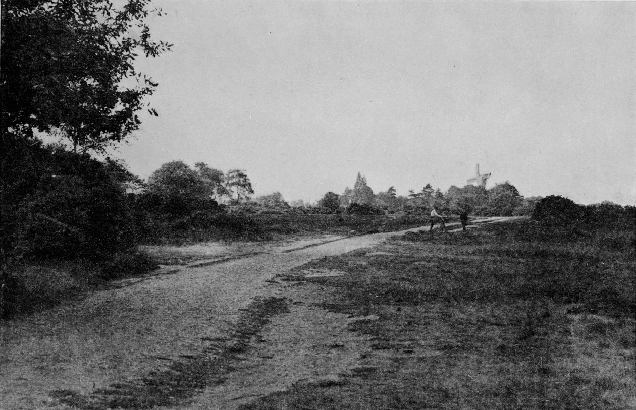 Wimbledon Common und die Windmühle, um 1900 von Unbekannt