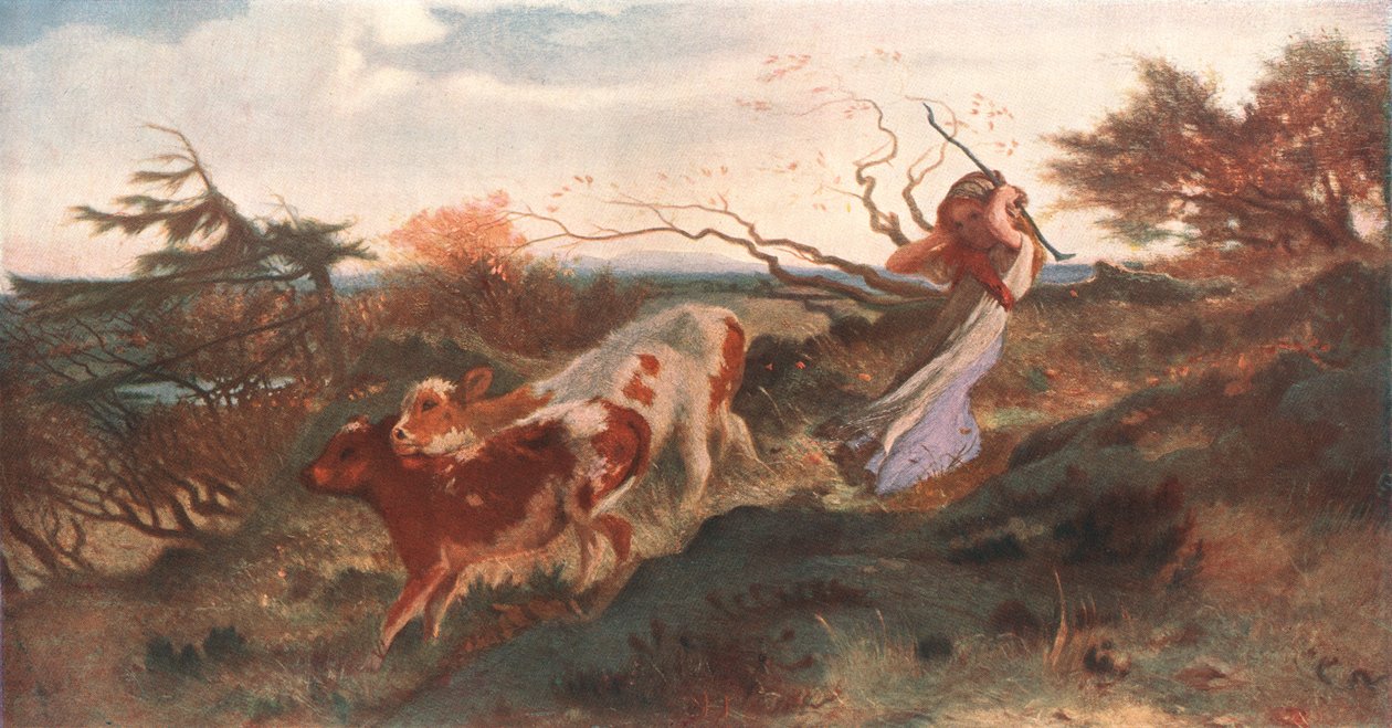 Wind auf der Wold, 1863 von Unbekannt