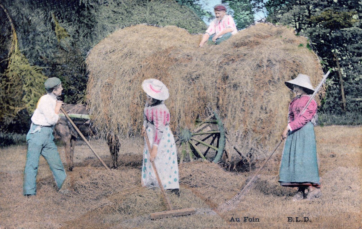 Mit dem Heu, um 1900 von Unbekannt