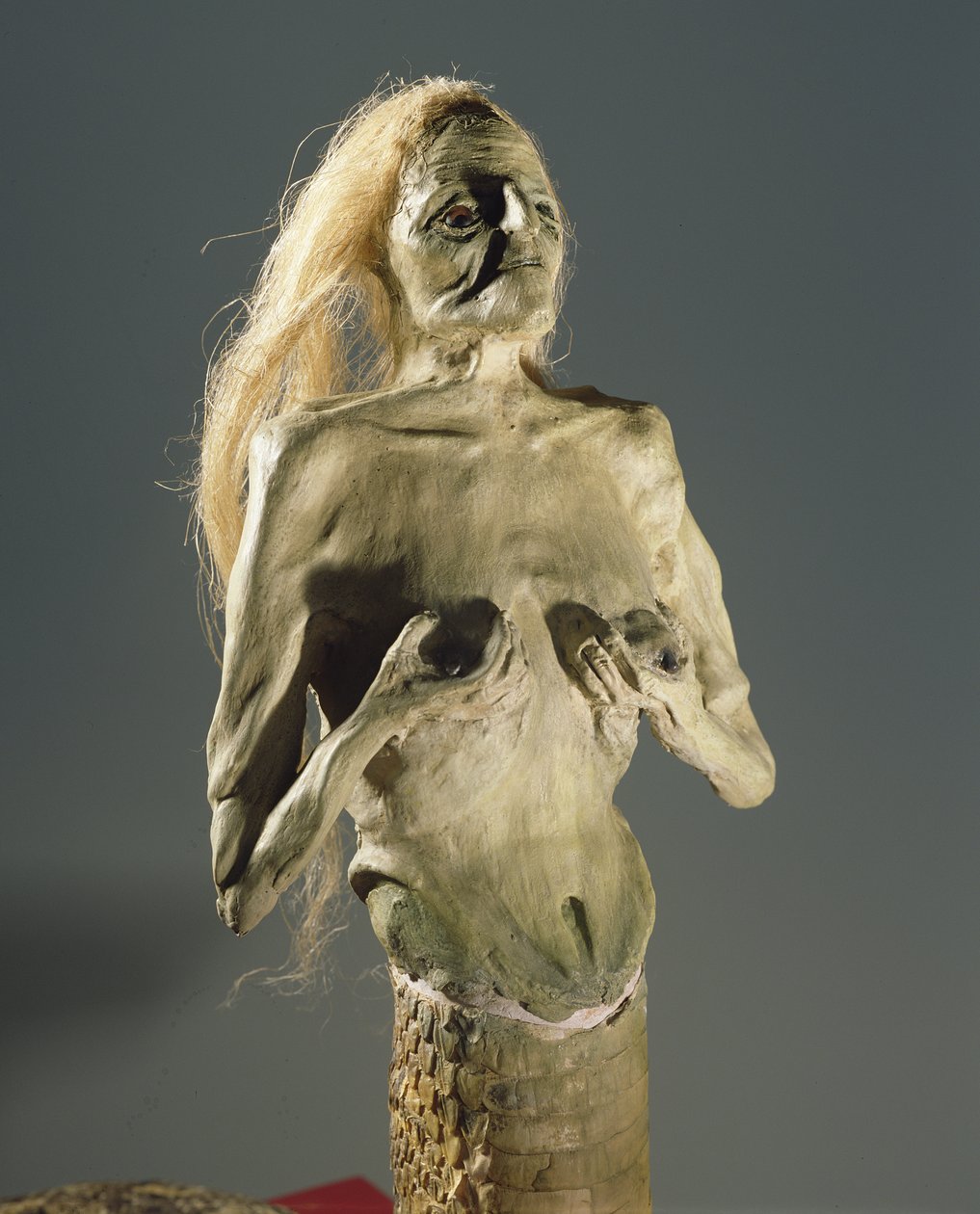 Halb-Frau, halb-Schlange Kreatur, Nachkomme von Melusine, 1900 von Unbekannt Unbekannt