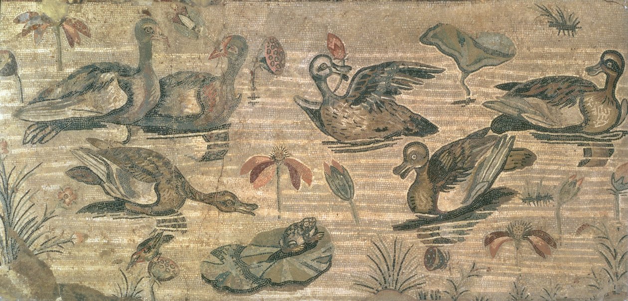 Szene mit Wasservögeln am Nil aus dem Haus des Fauns, Pompeji, 2. Jahrhundert v. Chr. von Unbekannt Unbekannt