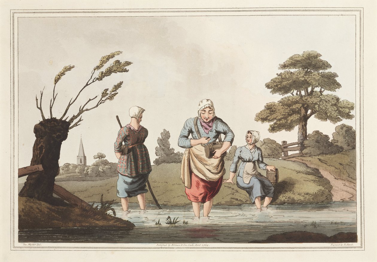 Aderlass Leech Finder von Unbekannt
