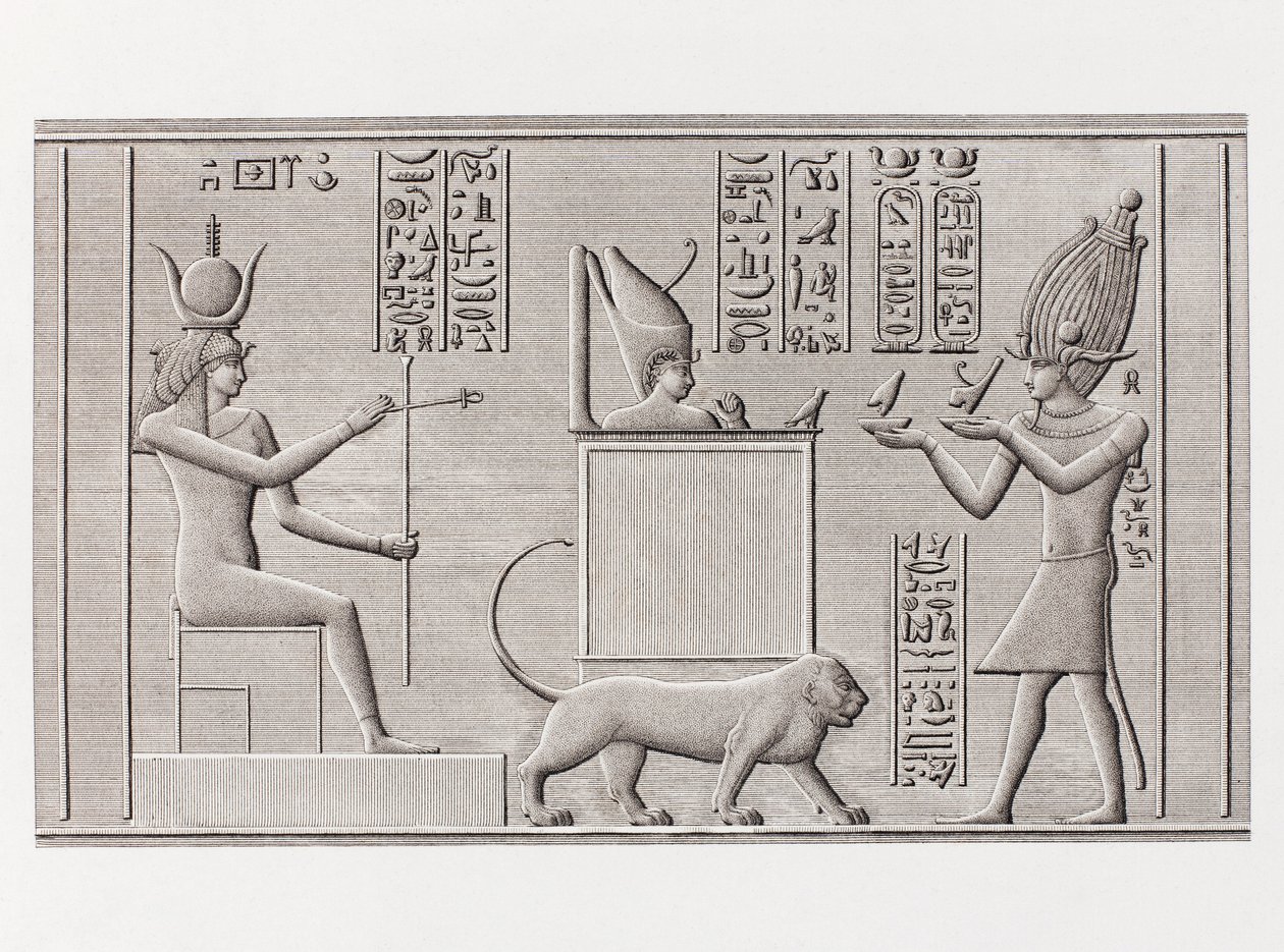 Buch: Beschreibung von Ägypten von Unbekannt