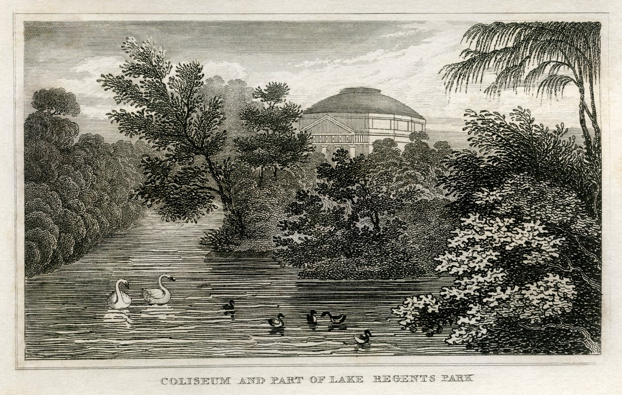 Kolosseum und See, Regent