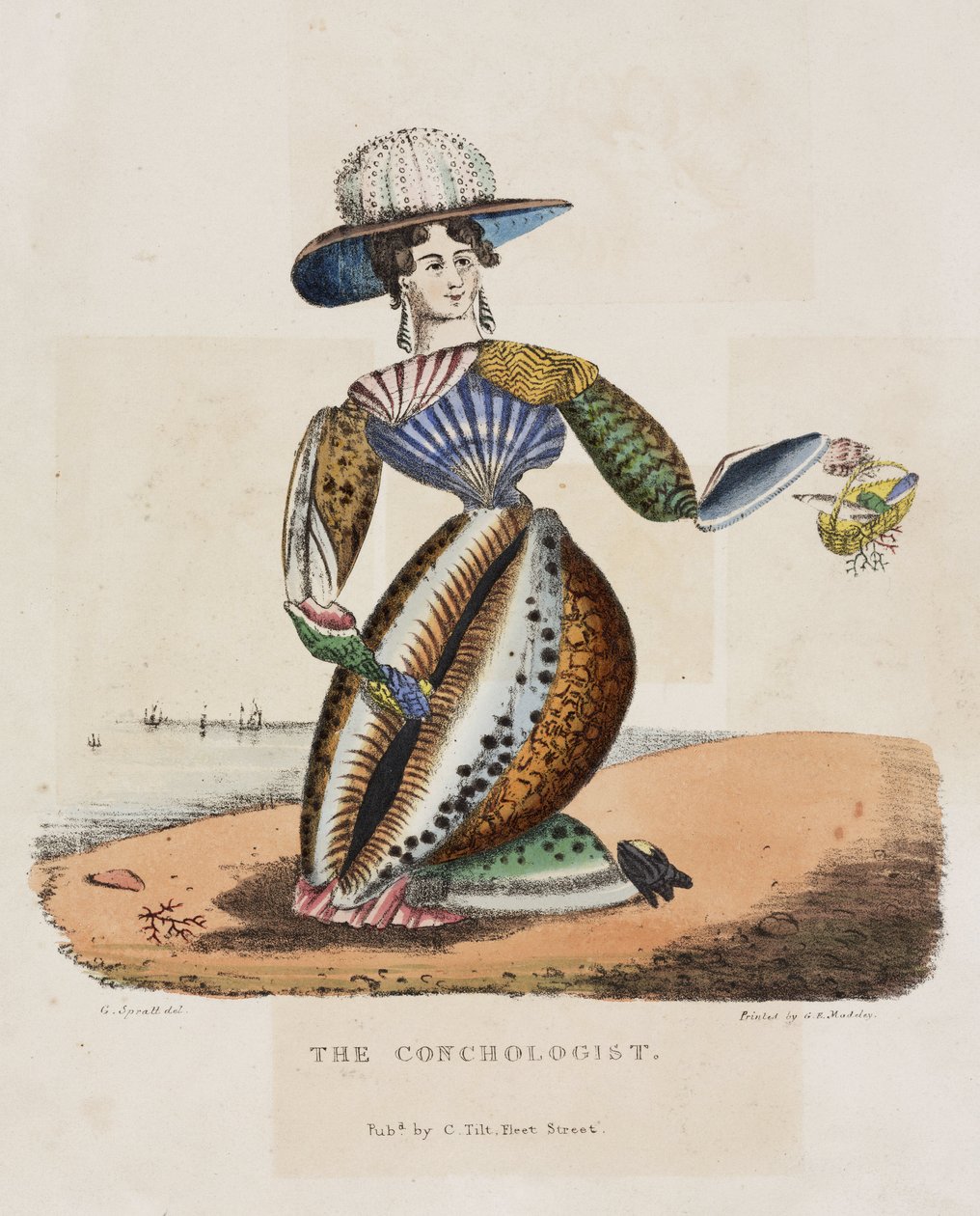 Der Conchyliologe, um 1831 von Unbekannt