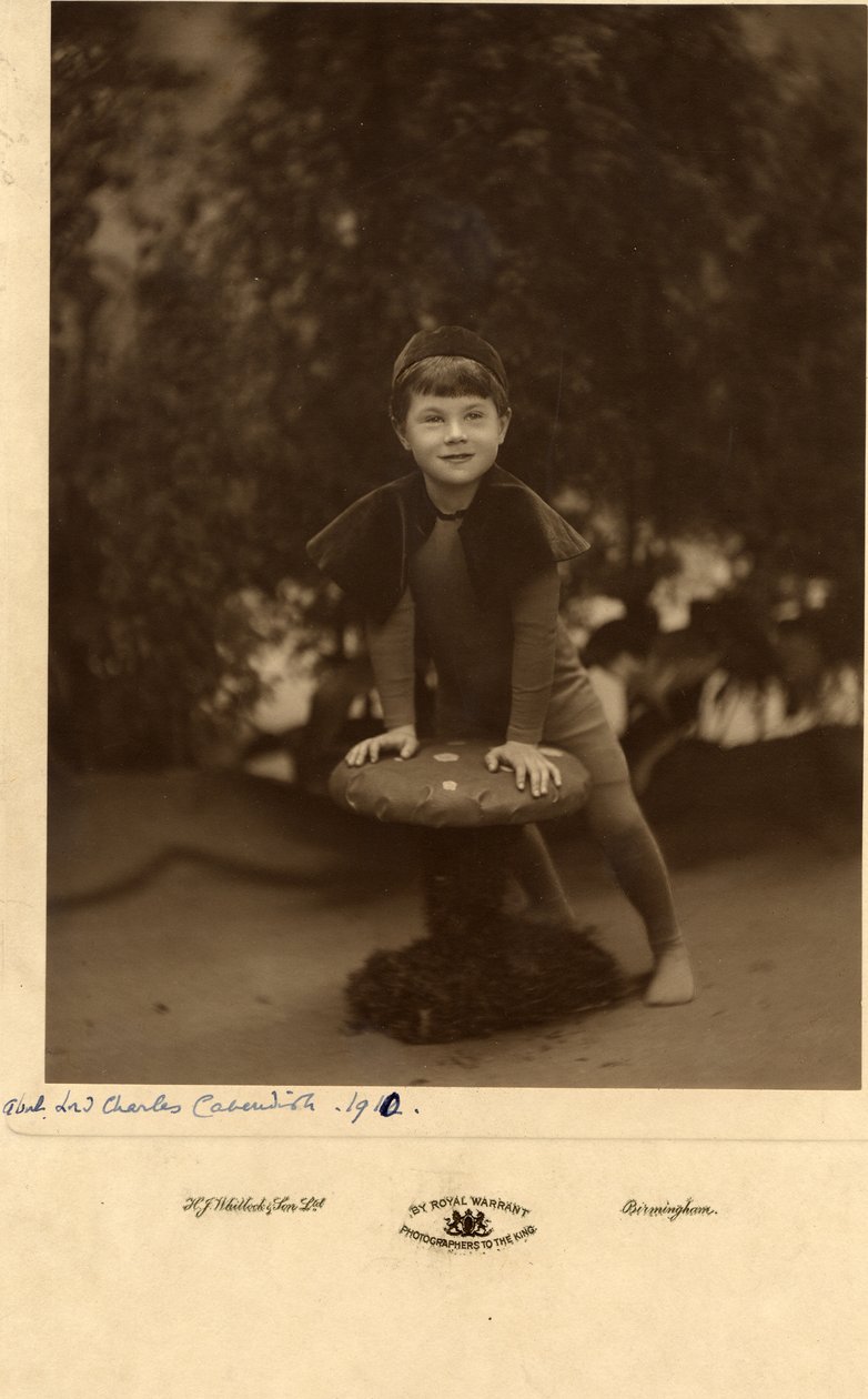 Lord Charles Cavendish von William M. Timlin