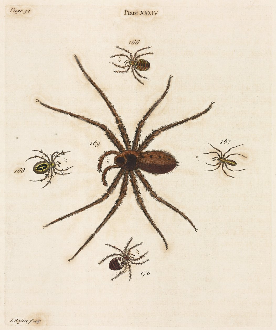 Mikroskopie von Unbekannt