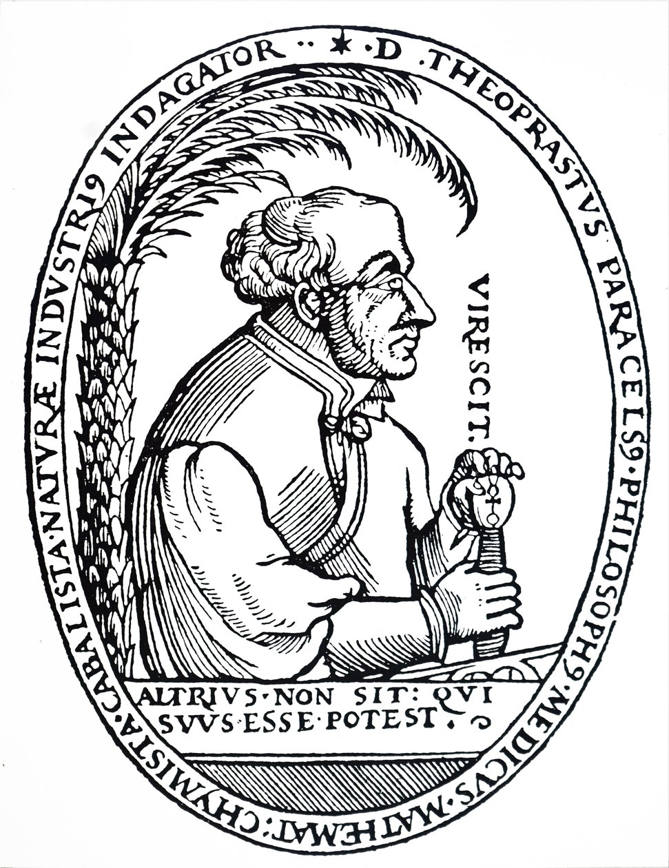 Paracelsus von Unbekannt
