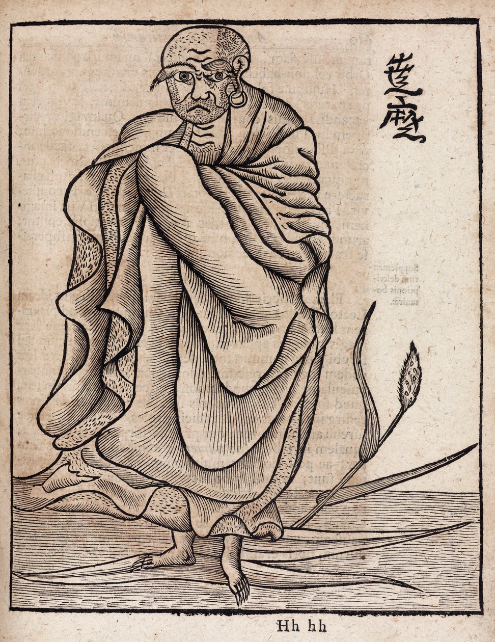 Porträt von Bodhidharma von Unbekannt