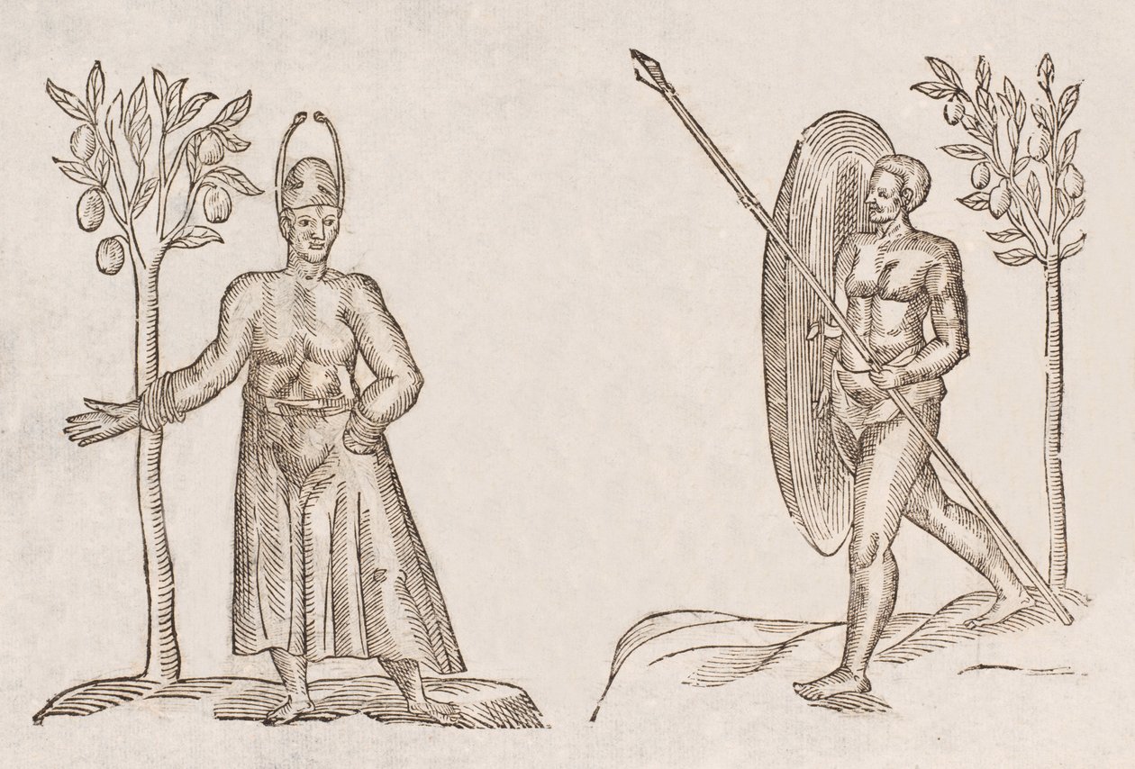 Rex sinus Antongil & Miles sinus Antongil von Unbekannt