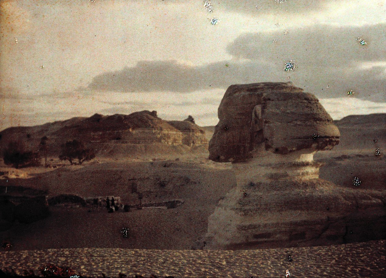 Sphinx von Unbekannter Künstler