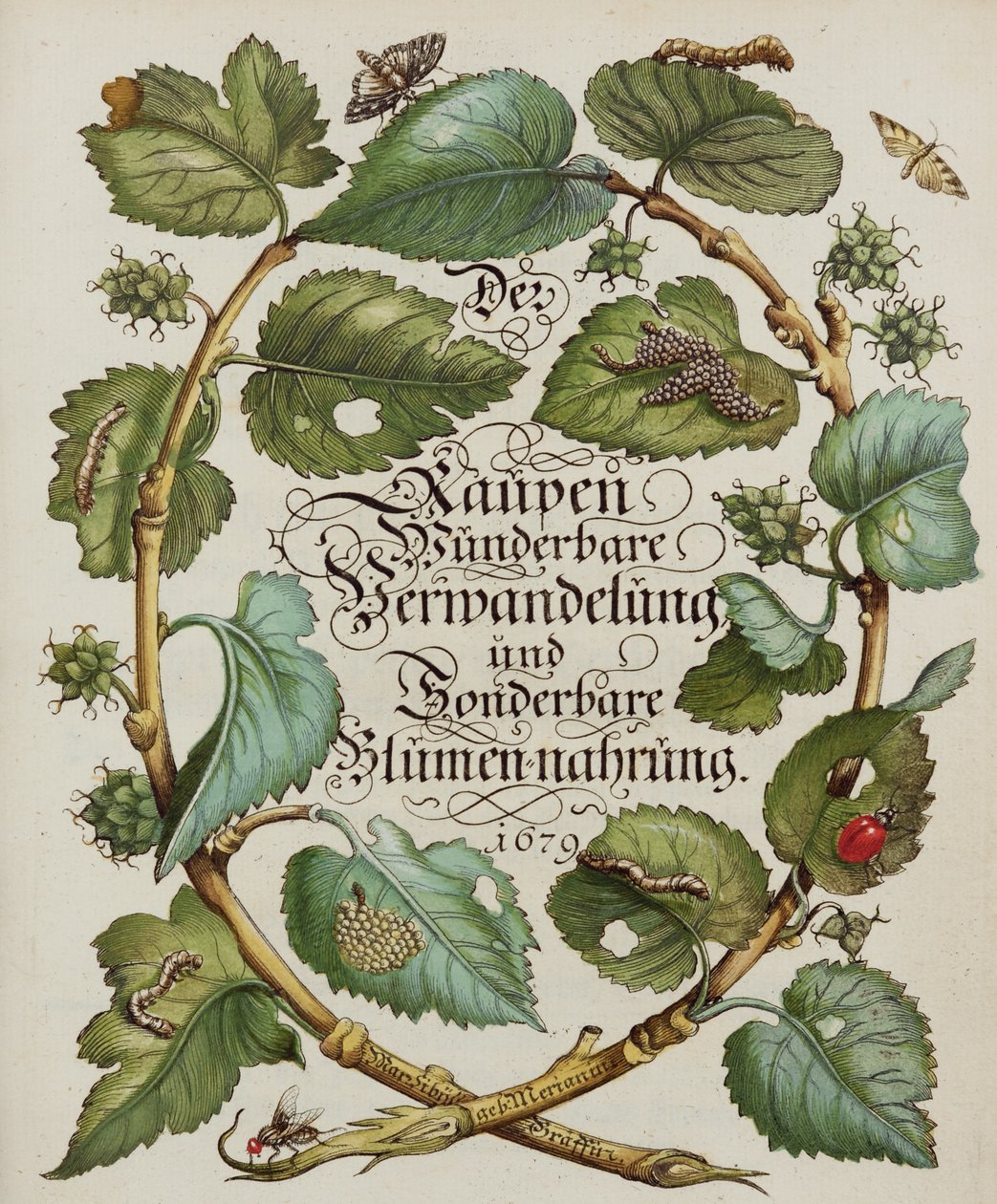 Titelseite aus einem Naturgeschichtsbuch von Alec Hunter