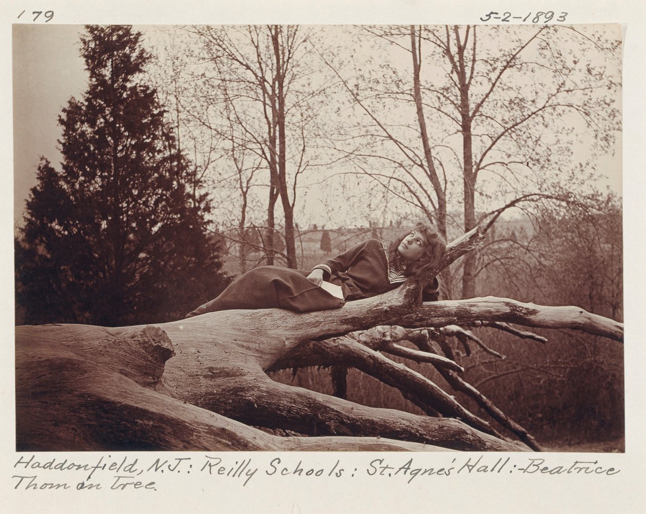 [Beatrice Thom auf Baum, Haddonfield, New Jersey] von Unidentified