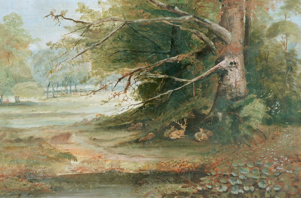Hirsche in einer Waldlichtung von Unknown