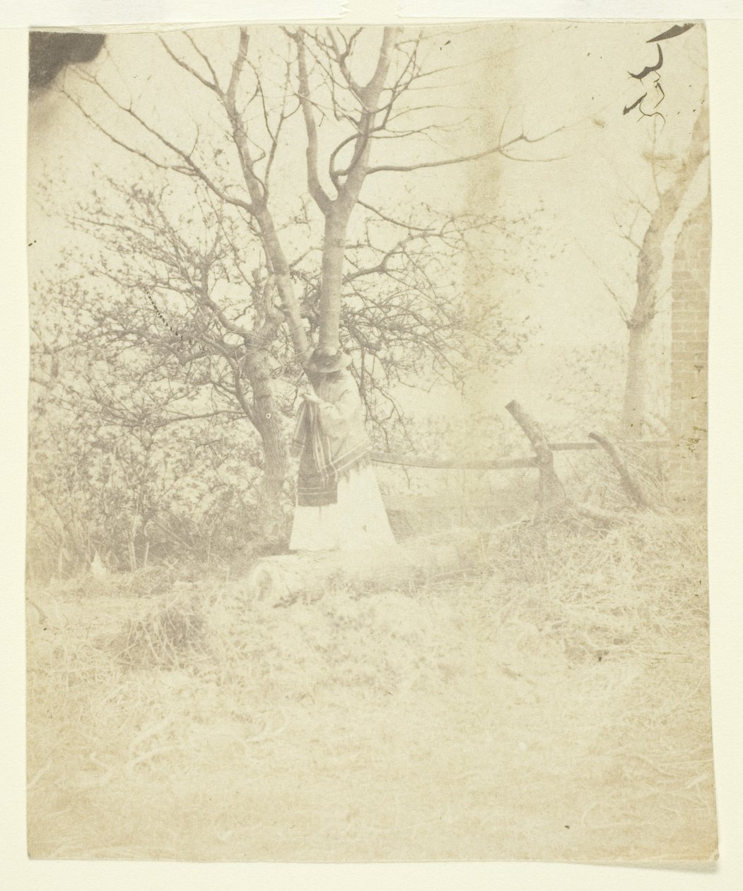 Mrs. Craik von Unknown