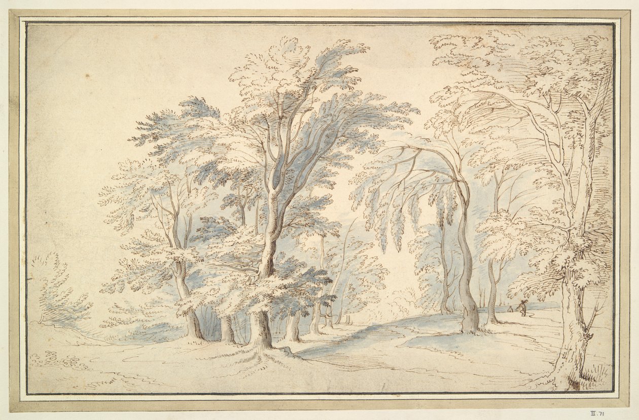 Waldlandschaft von Unknown