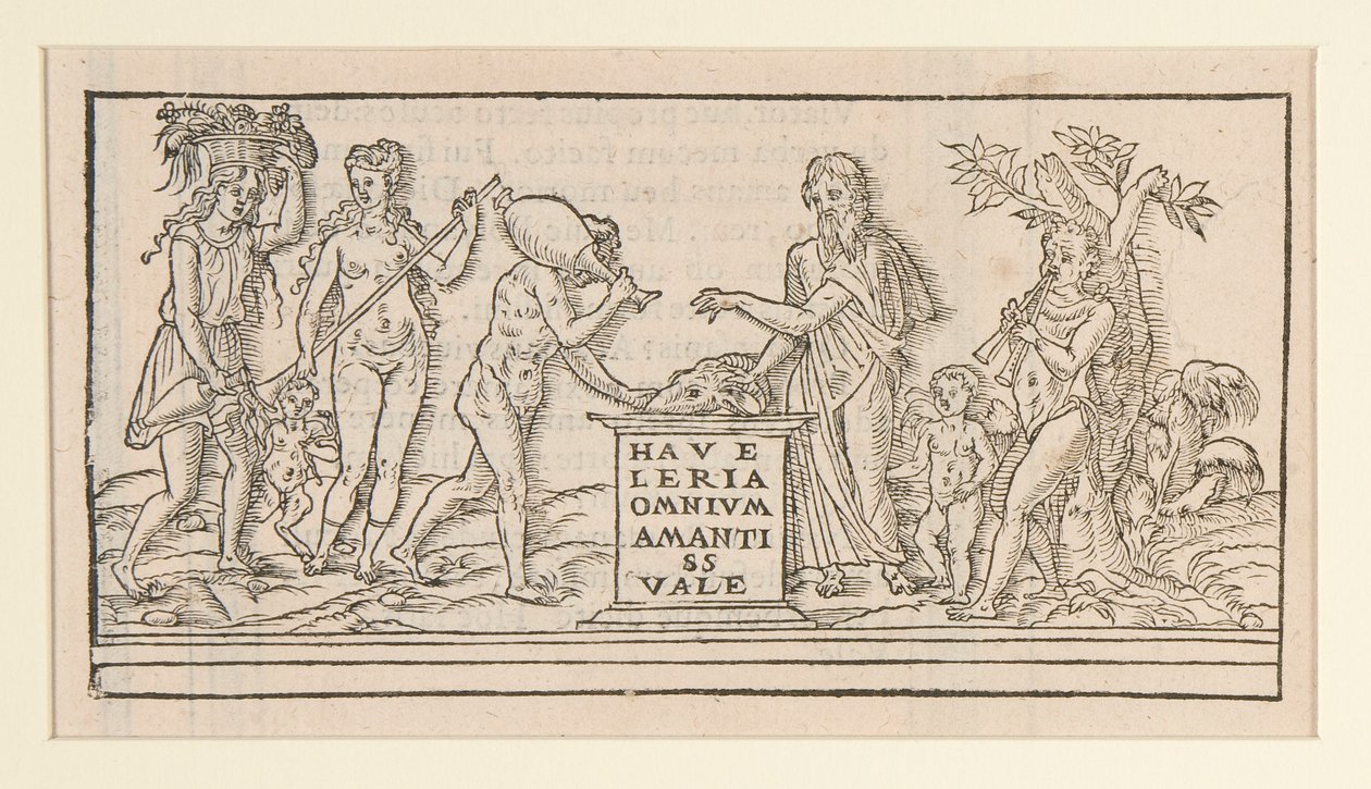 Seite aus einer Kopie nach Francesco Colonna von Unknown