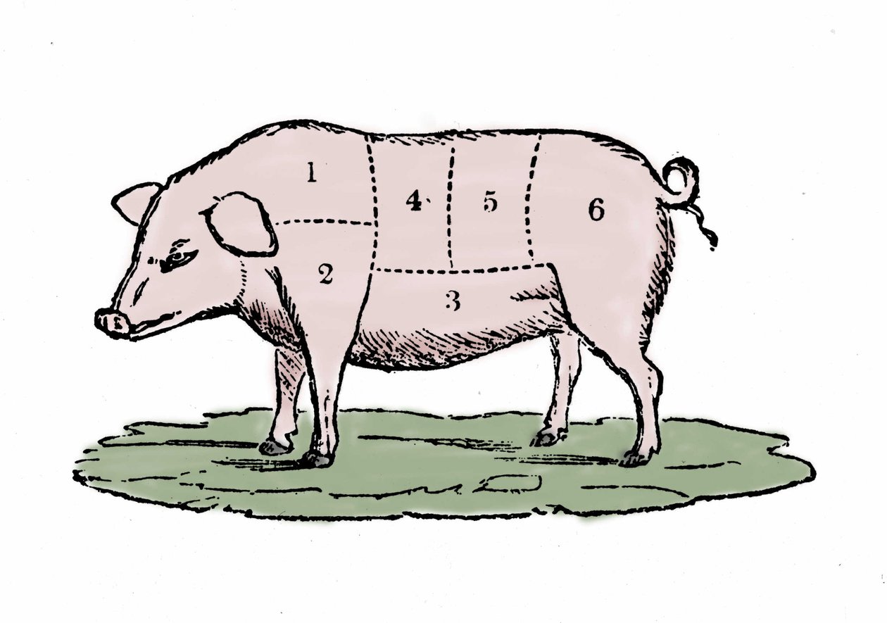 Schweinefleischstücke. von Unknown artist