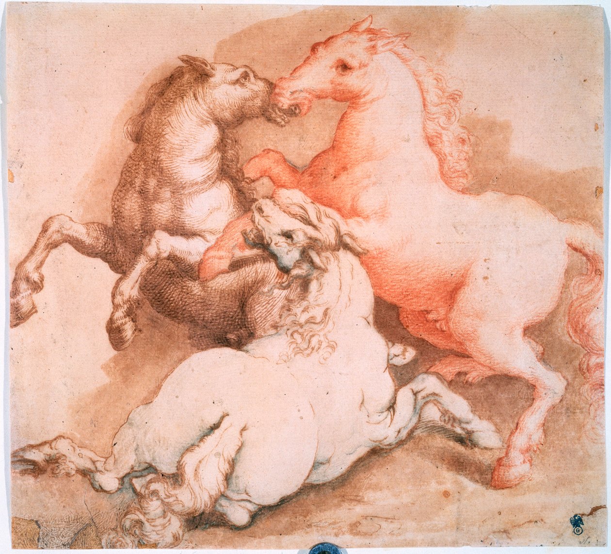 Kämpfende Pferde, um 1550-1600 von Unknown Old Master