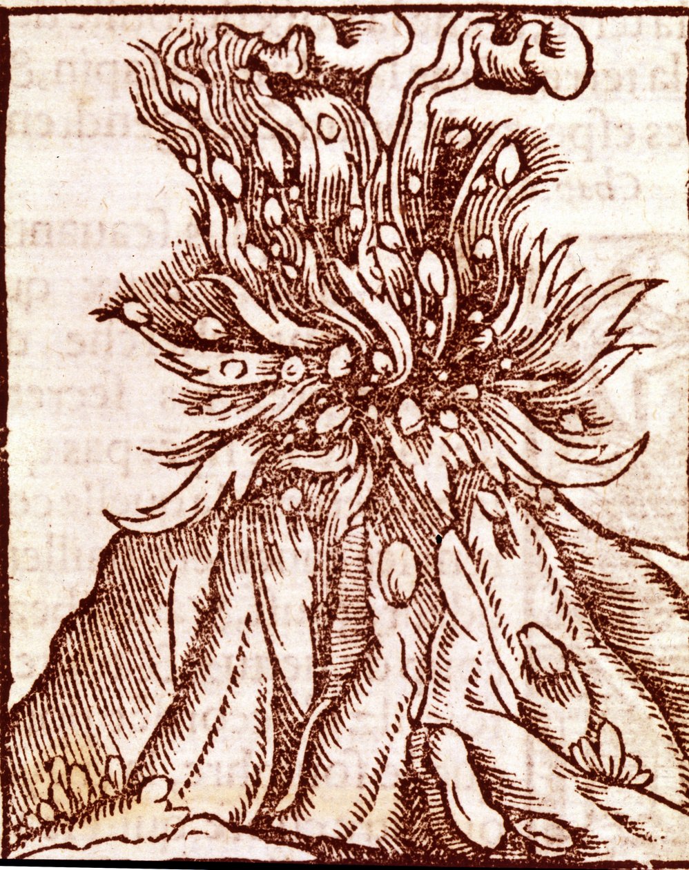 Ausbruch eines Vulkans. Kupferstich aus dem 16. Jahrhundert. von Unknown artist