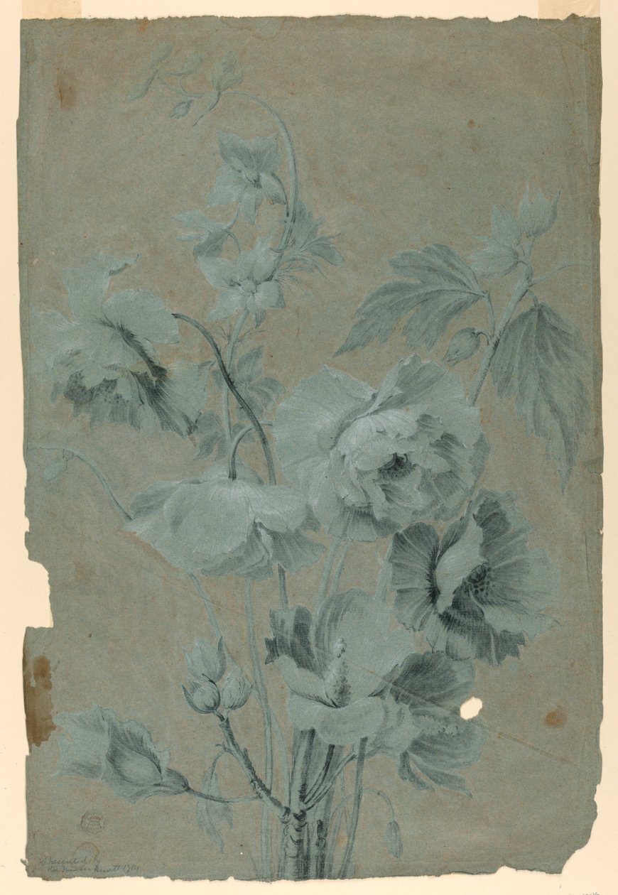 Blumendesign von Unknown artist