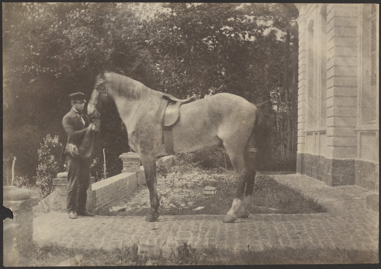 [Pferd und Mann] von Unknown artist