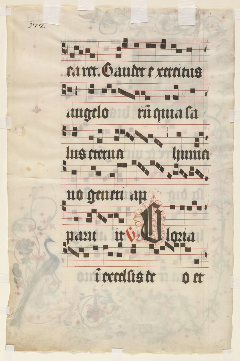 Blatt aus einem Antiphonar: Text (verso) von Unknown artist