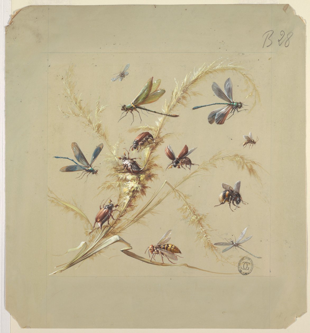 Textil- oder Tapetendesign: Insekten von Unknown artist