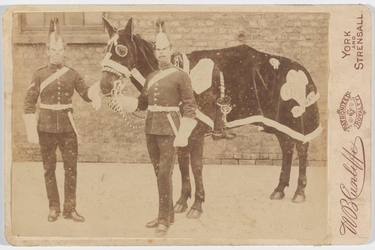Ein Pferd des 3. von Unknown photographer