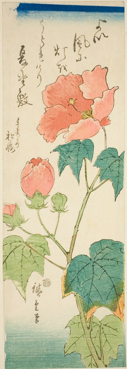 Hibiskus von Utagawa Hiroshige
